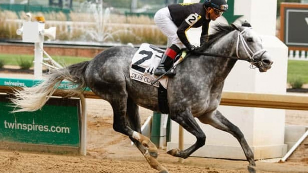 Can Knicks Go Carry His Speed In The Longines Breeders’ Cup ... Image 1